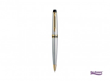 Waterman Expert Stainless Steel