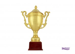 Cup Trophy 646