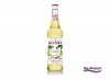 MONIN French Vanilla